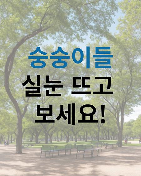 숭숭이들 착시동영상 시청하기